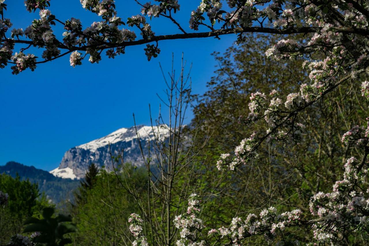 La Fraceline Villa Saint-Pierre-d'Entremont  ภายนอก รูปภาพ